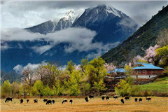 S04_֥{ľ98